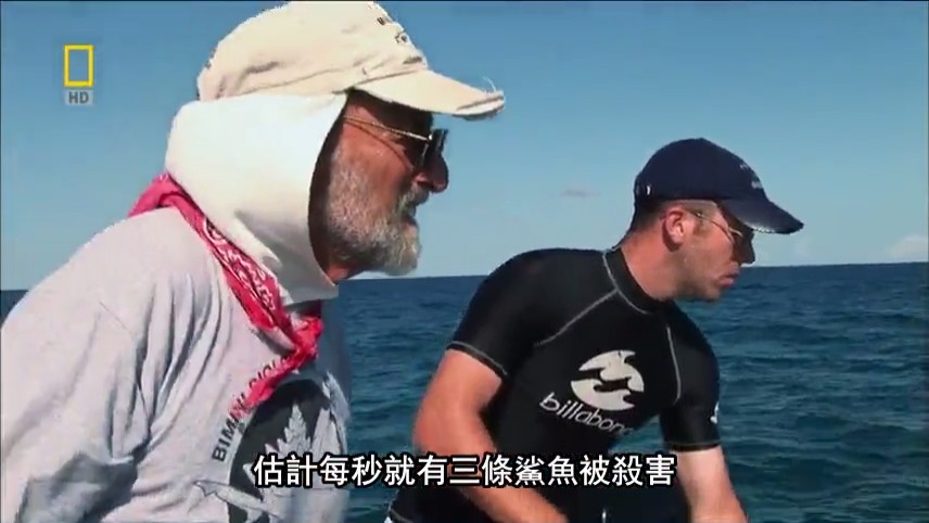 国家地理:21世纪鲨鱼 National Geographic 21st Century Shark