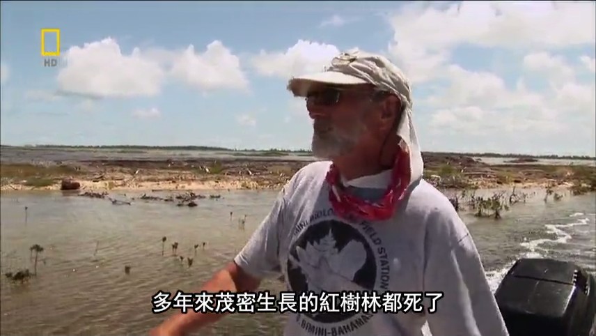 国家地理:21世纪鲨鱼 National Geographic 21st Century Shark