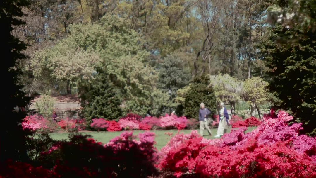 小可爱与拳击手 Cutie and the Boxer