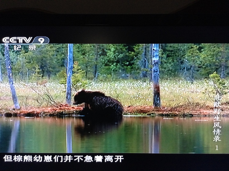 北欧野生风情录 Nordic Wild