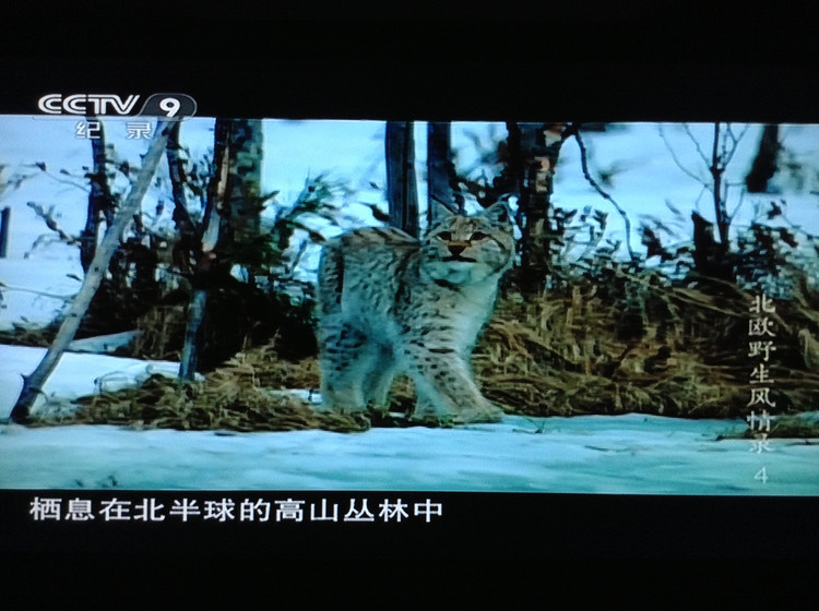 北欧野生风情录 Nordic Wild