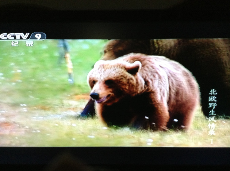 北欧野生风情录 Nordic Wild