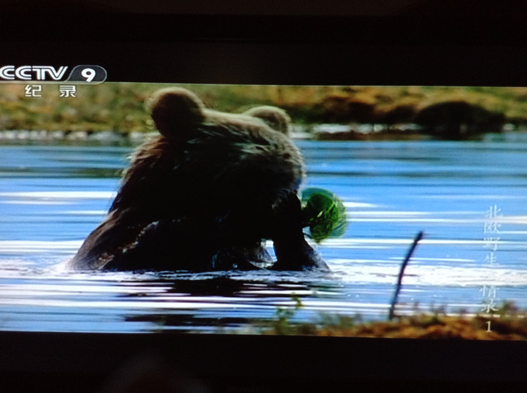 北欧野生风情录 Nordic Wild