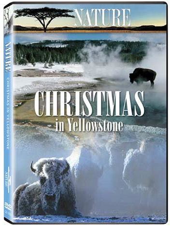 黄石的圣诞 PBS Nature Christmas in Yellowstone