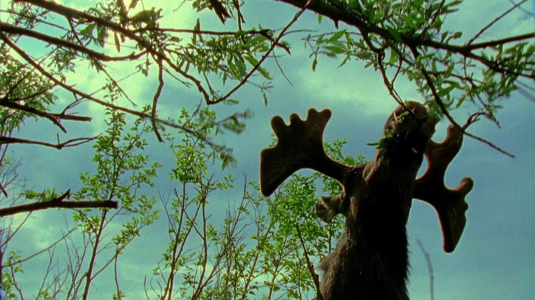 我们星球的秘密 Secrets of Our Living Planet