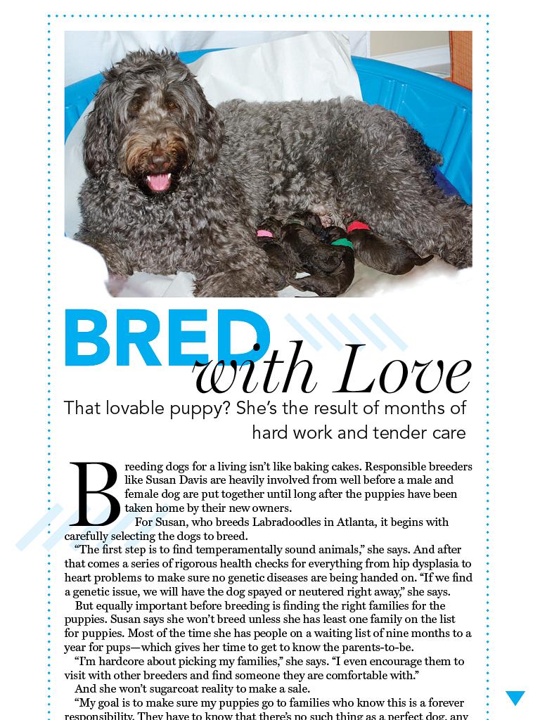 狗语者 第一季 Dog Whisperer with Cesar Millan Season 1