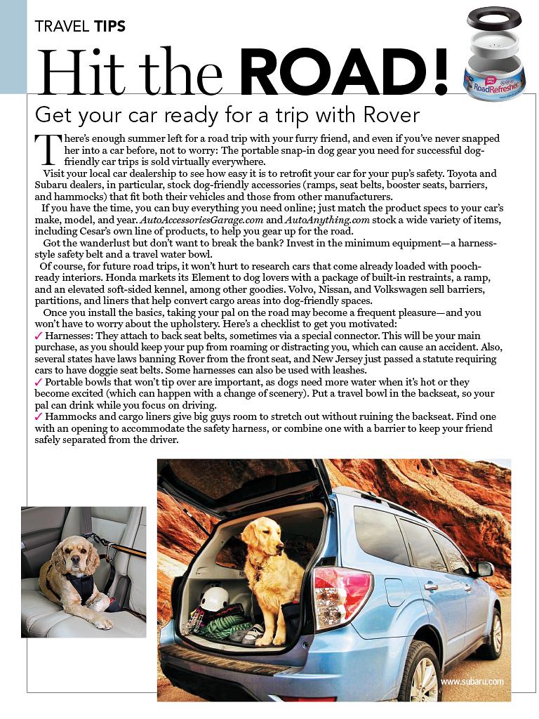 狗语者 第一季 Dog Whisperer with Cesar Millan Season 1