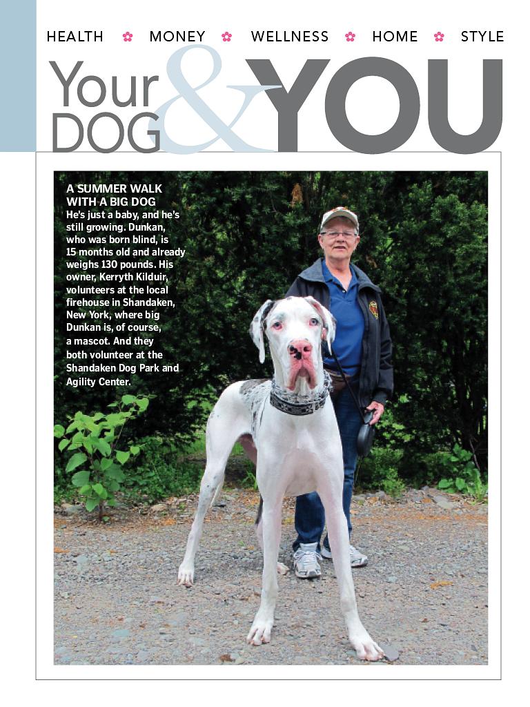 狗语者 第一季 Dog Whisperer with Cesar Millan Season 1