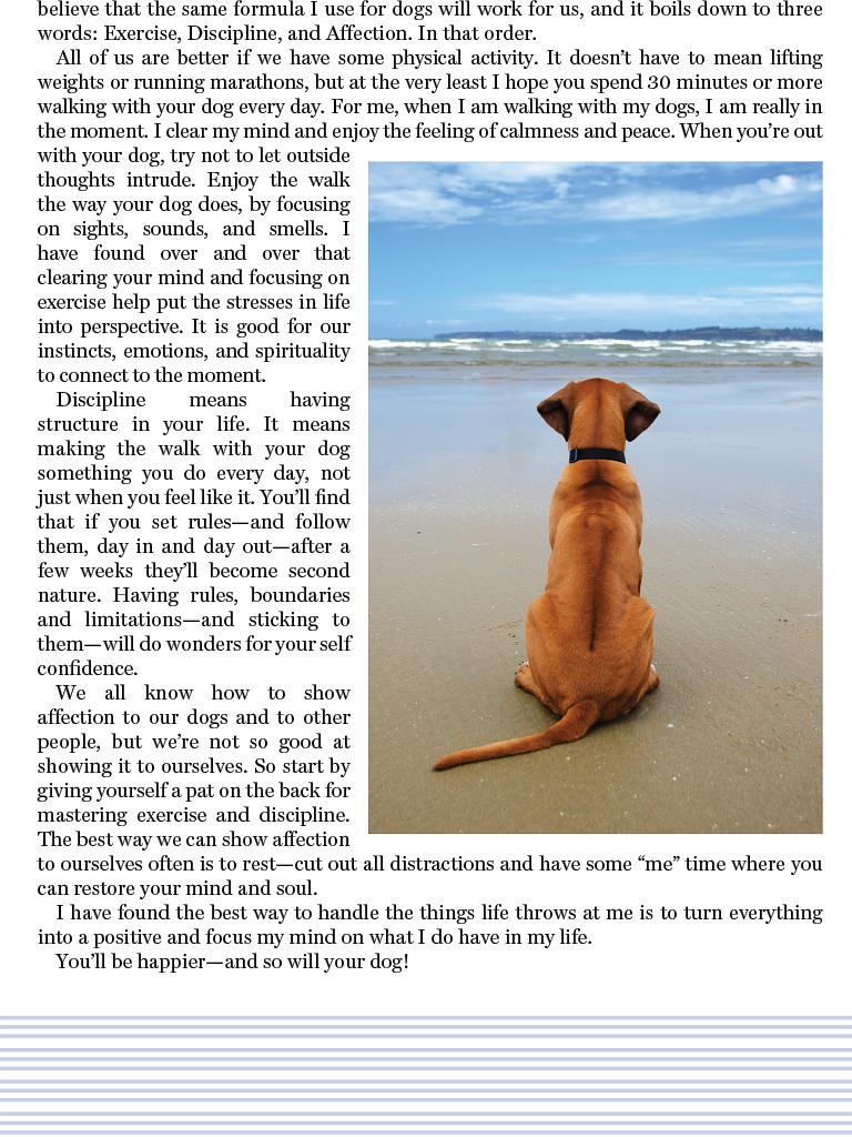 狗语者 第一季 Dog Whisperer with Cesar Millan Season 1