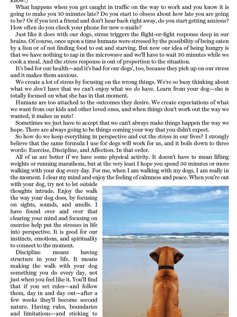 狗语者 第一季 Dog Whisperer with Cesar Millan Season 1