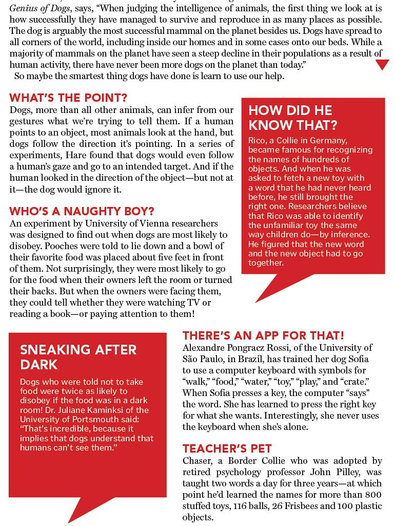 狗语者 第一季 Dog Whisperer with Cesar Millan Season 1