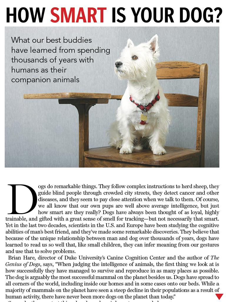 狗语者 第一季 Dog Whisperer with Cesar Millan Season 1