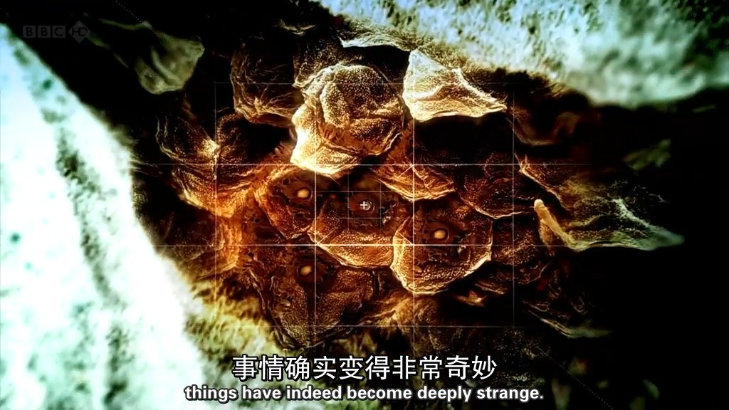 BBC 地平线: 宇宙何其小 Horizon: How Small Is the Universe?