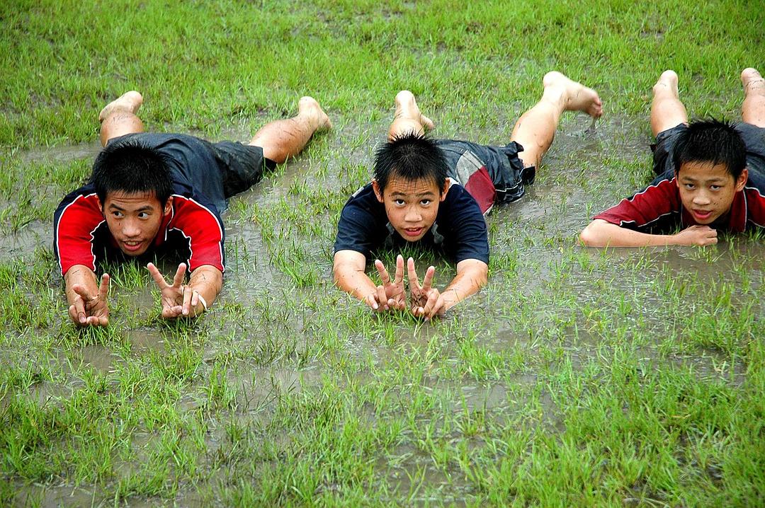 奇迹的夏天 奇蹟的夏天