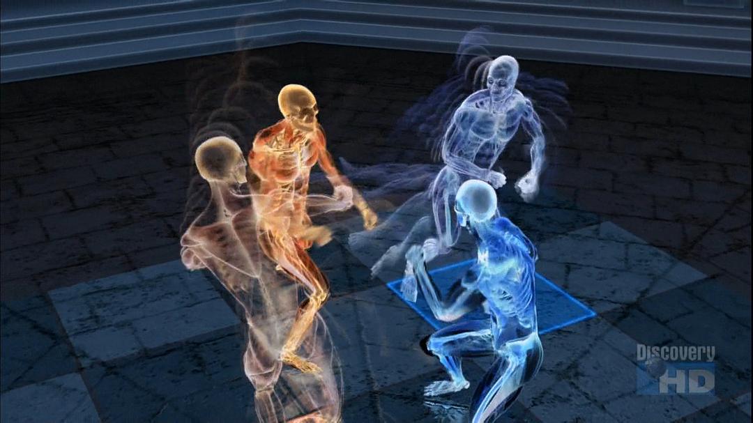 极限武术 Xtreme Martial Arts