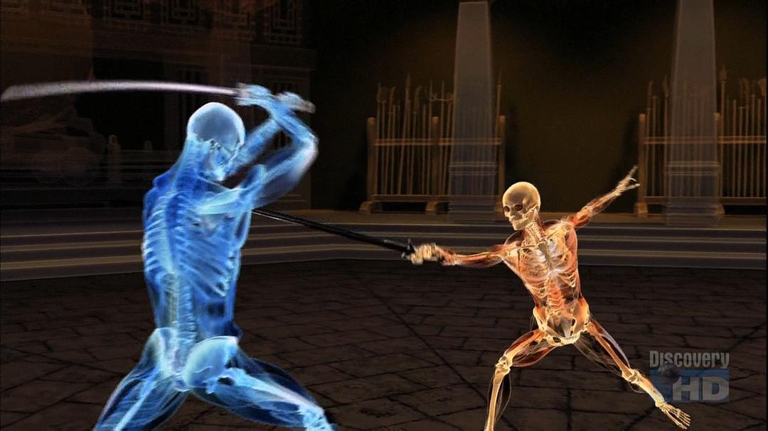 极限武术 Xtreme Martial Arts