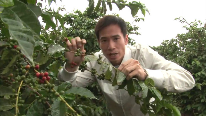 品味咖啡 第一辑