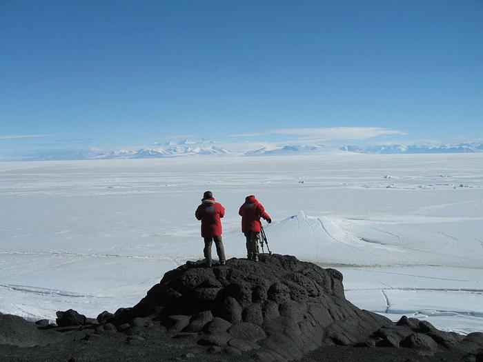 在世界尽头相遇 Encounters at the End of the World