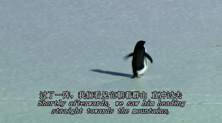 在世界尽头相遇 Encounters at the End of the World