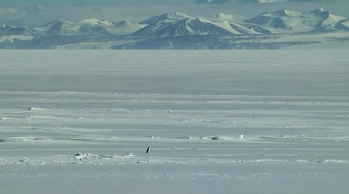在世界尽头相遇 Encounters at the End of the World