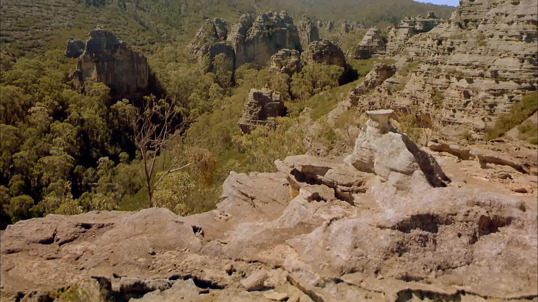 狂野澳洲:边缘 Wild Australia: The Edge