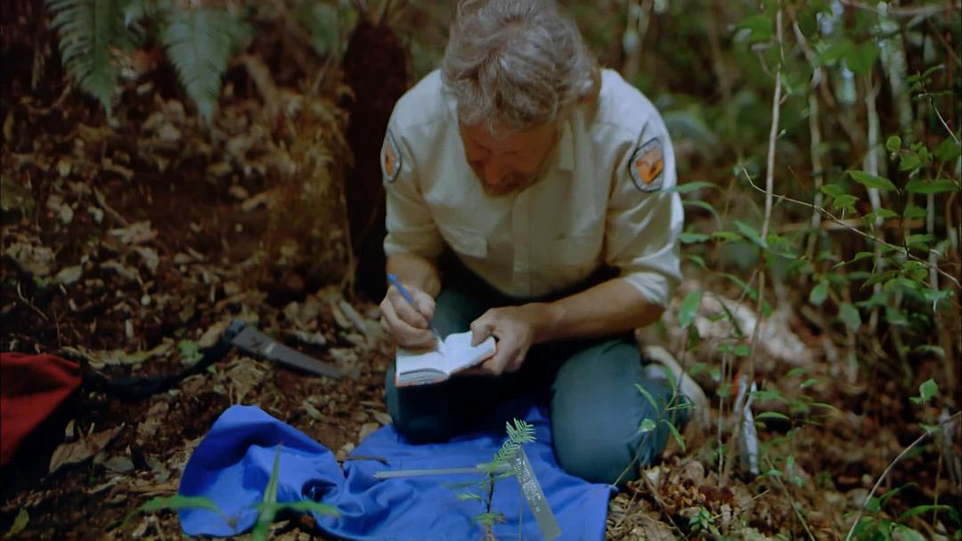 狂野澳洲:边缘 Wild Australia: The Edge