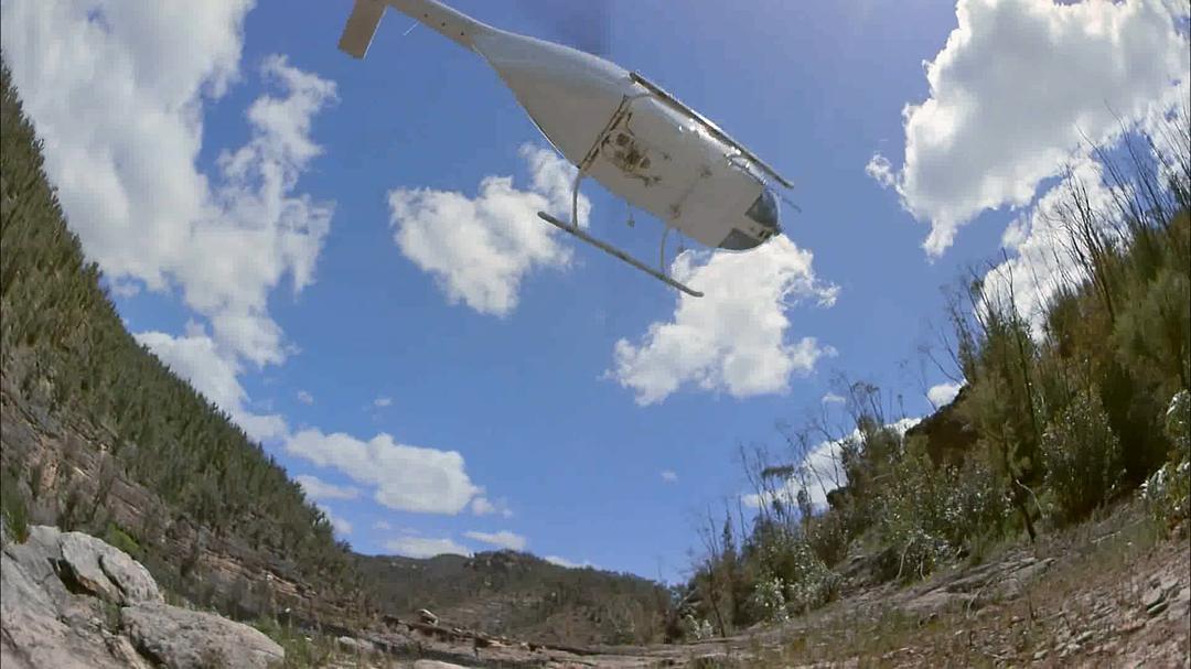 狂野澳洲:边缘 Wild Australia: The Edge