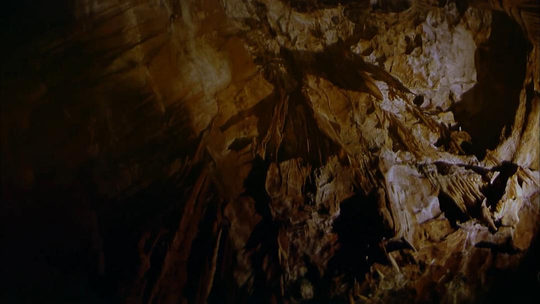 狂野澳洲:边缘 Wild Australia: The Edge