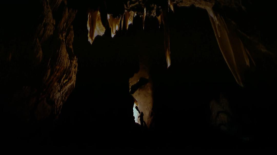 狂野澳洲:边缘 Wild Australia: The Edge