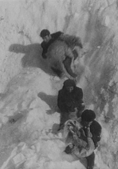 四季 Времена года