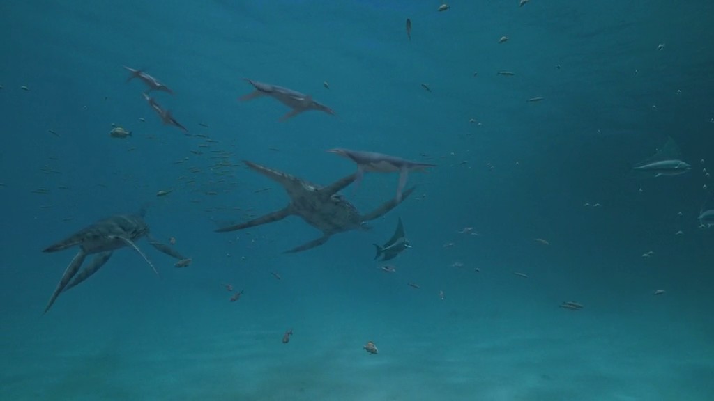 与海怪同行 Sea Monsters: A Prehistoric Adventure