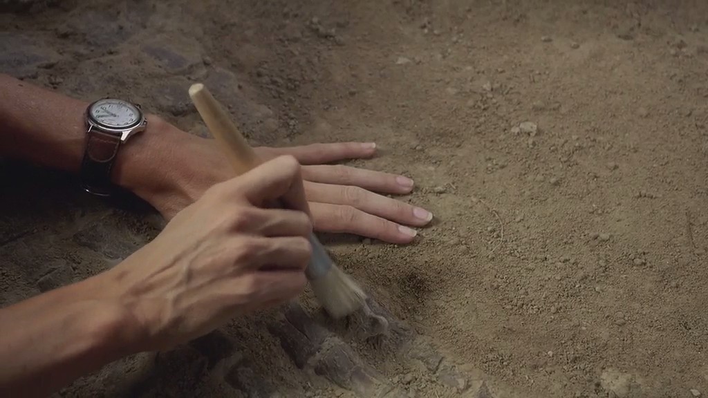 与海怪同行 Sea Monsters: A Prehistoric Adventure