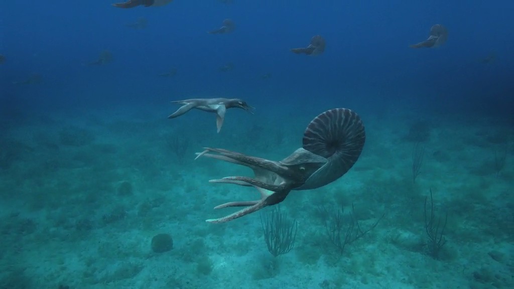 与海怪同行 Sea Monsters: A Prehistoric Adventure