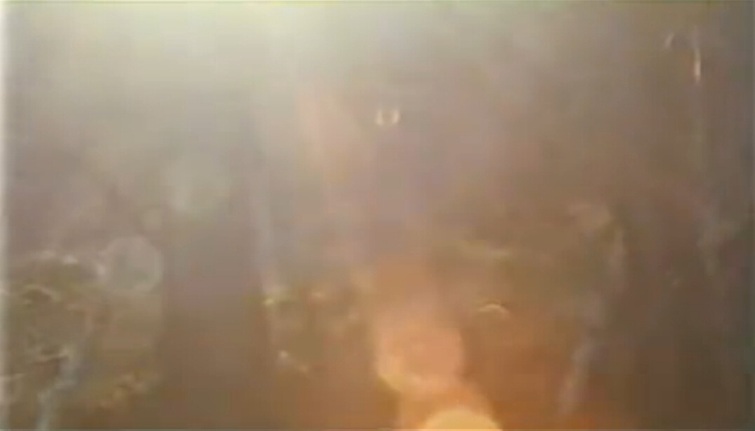 神鹿呀,我们的神鹿