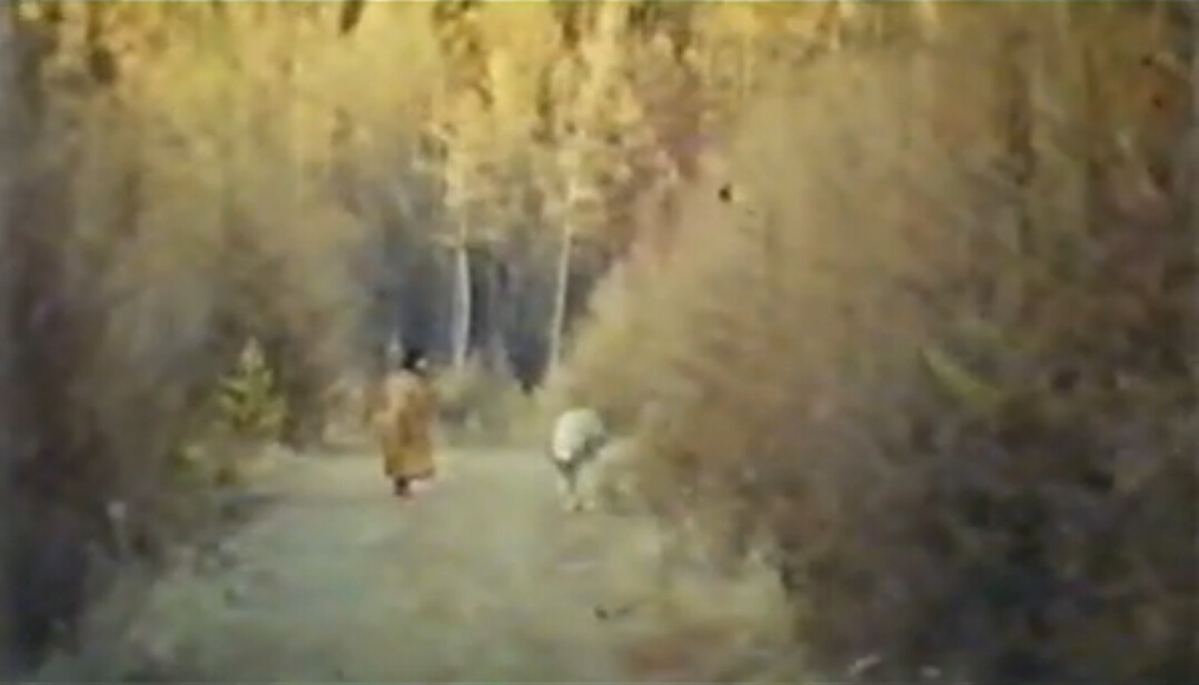 神鹿呀,我们的神鹿