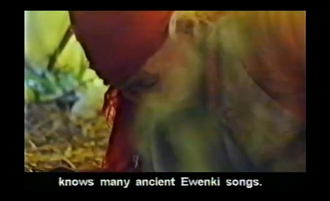 神鹿呀,我们的神鹿