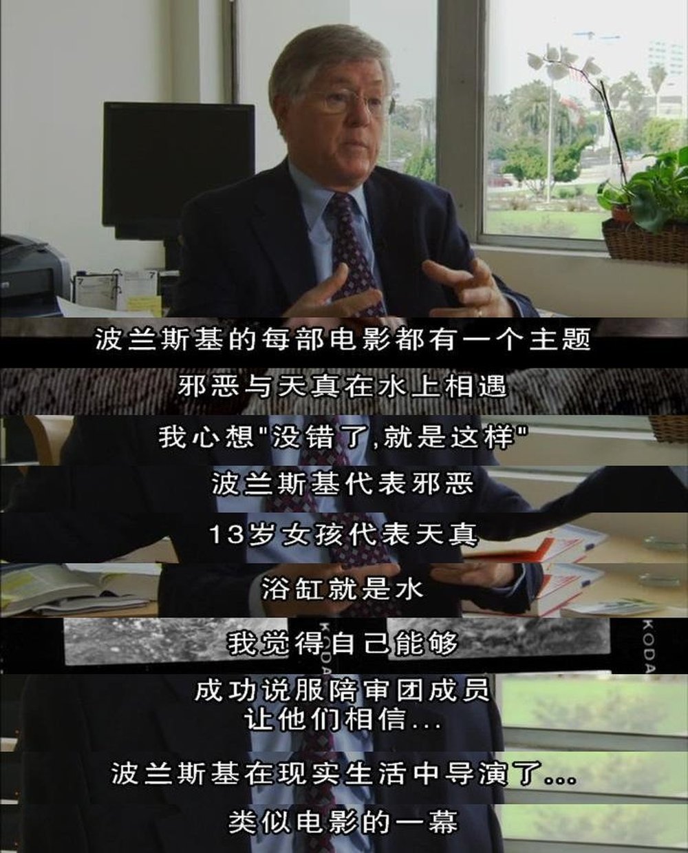 罗曼·波兰斯基:被通缉的与被渴望的 Roman Polanski: Wanted and Desired