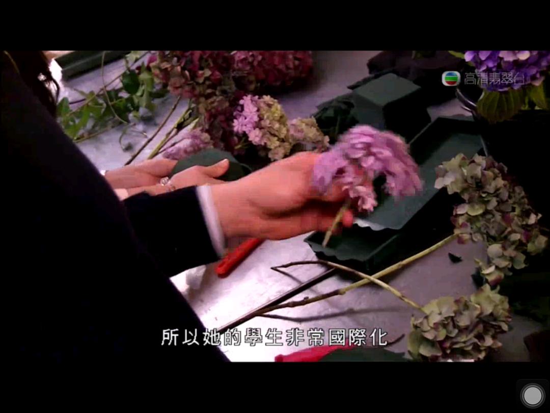 走过浮华大地 走過浮華大地