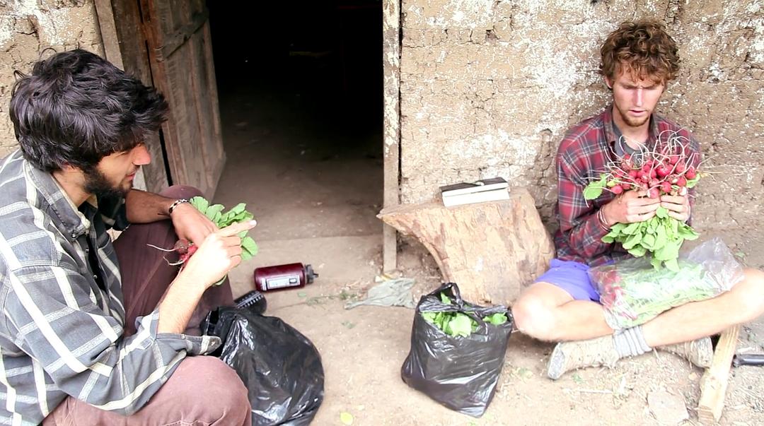 一块钱过活 Living on One Dollar