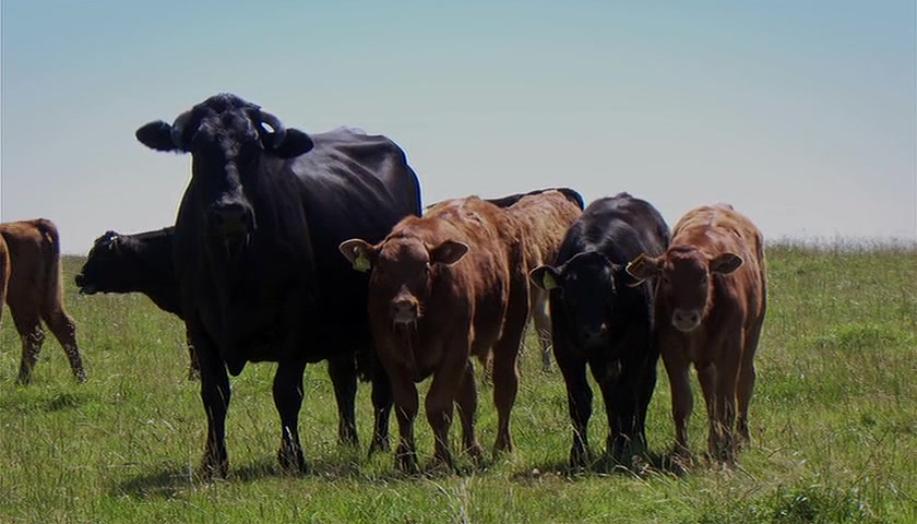 铝世代 The Age of Aluminium