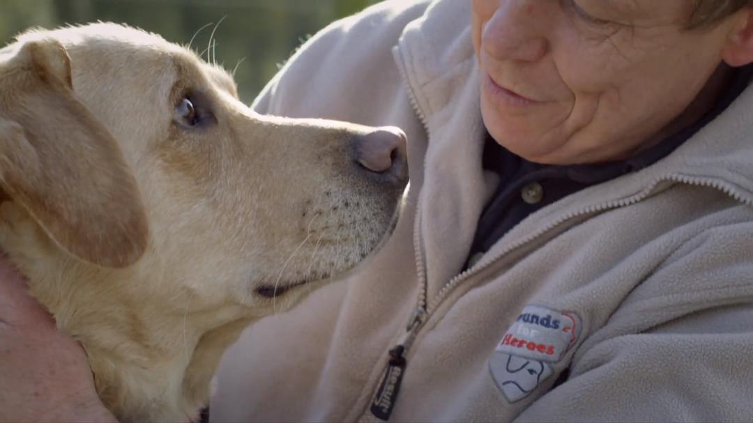 狗的秘密生活 Secret Life of Dogs