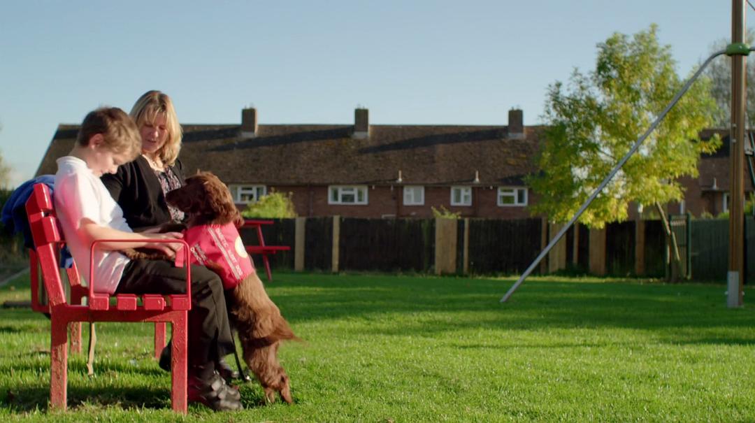 狗的秘密生活 Secret Life of Dogs