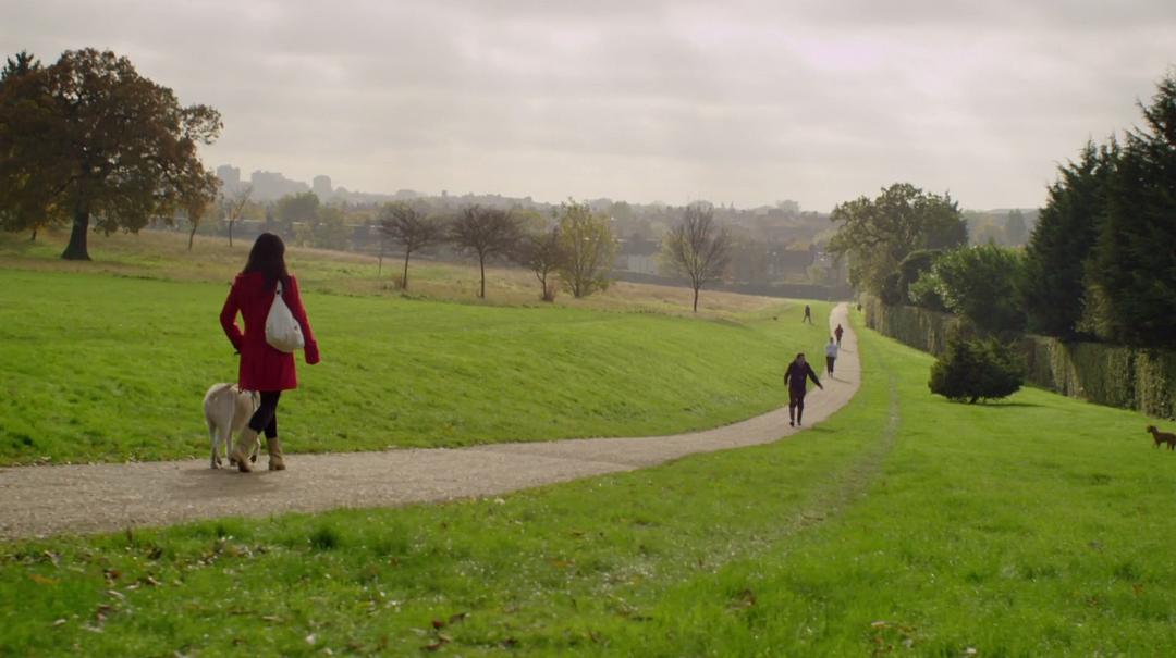 狗的秘密生活 Secret Life of Dogs