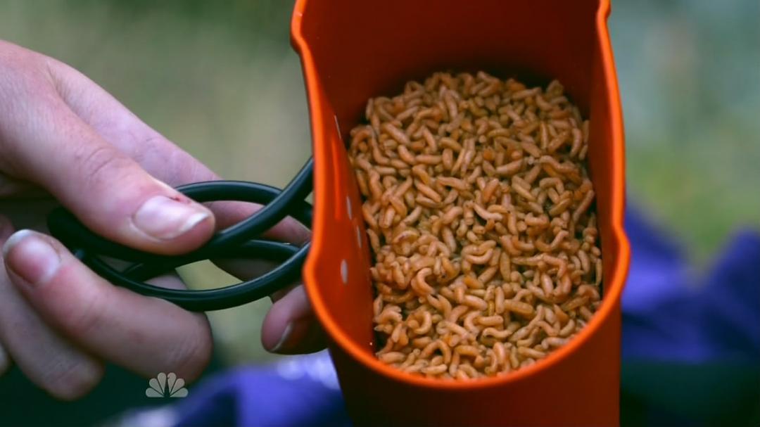 生者为王 Get Out Alive with Bear Grylls