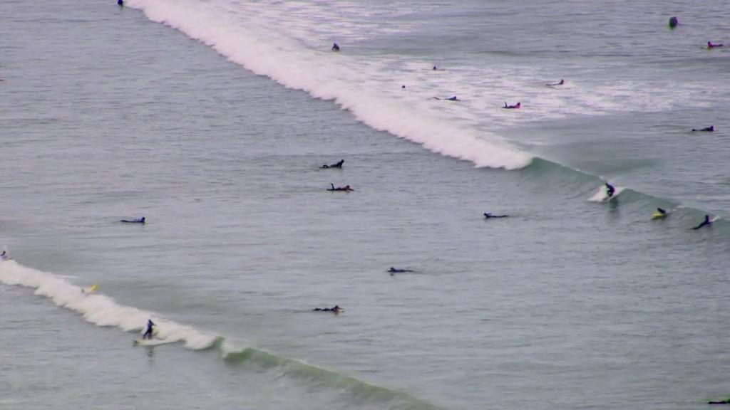 地平线系列:大数据时代 Horizon: The Age of Big Data