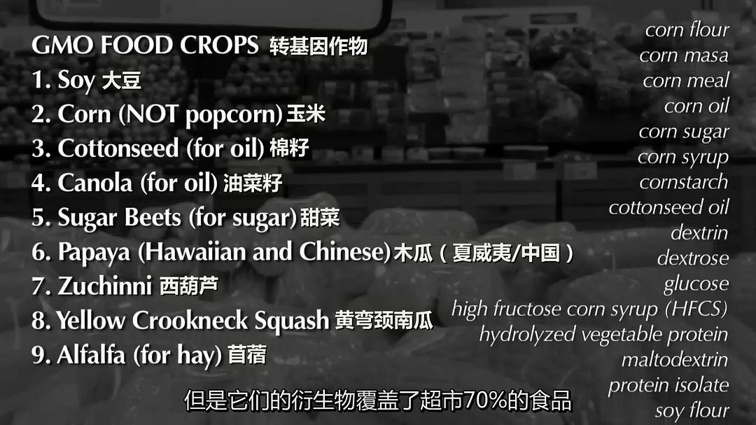 基因轮盘:生命之赌 Genetic Roulette: The Gamble of Our Lives