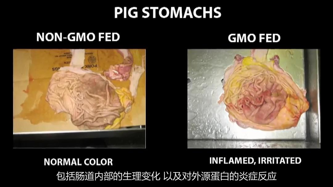 基因轮盘:生命之赌 Genetic Roulette: The Gamble of Our Lives