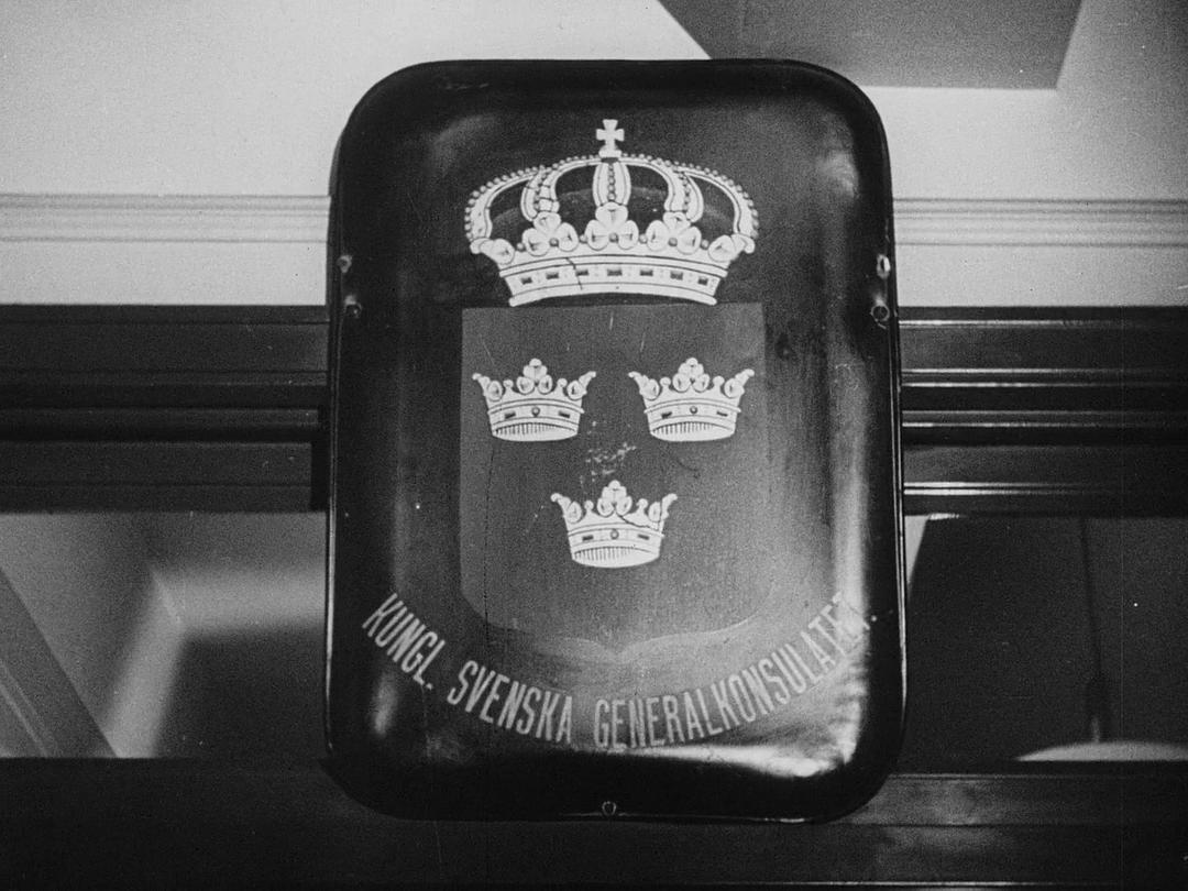 瑞典人在美国 Swedes in America