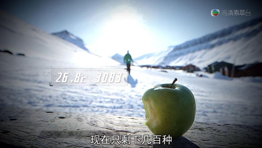 极地狂奔 極地狂奔