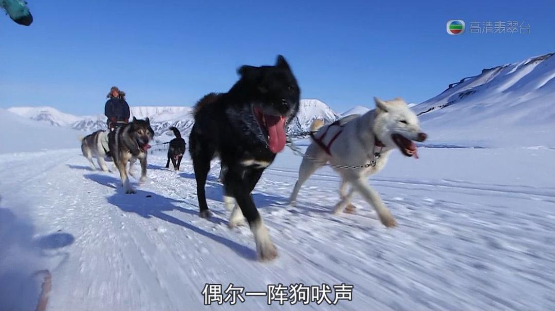 极地狂奔 極地狂奔